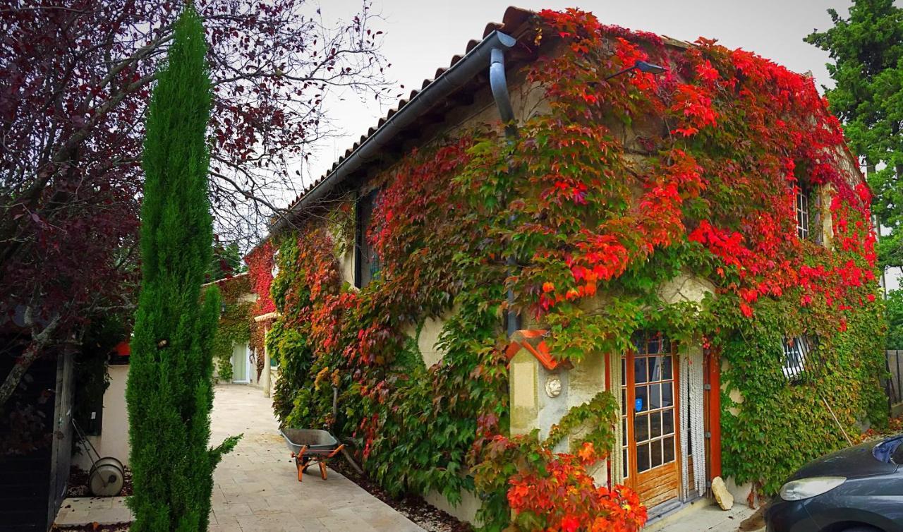 Le Mas Des Abeilles - Chambres D'Hotes En Drome Provencale La Bégude-de-Mazenc 외부 사진